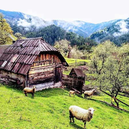 Konaci Gradina Apartament *