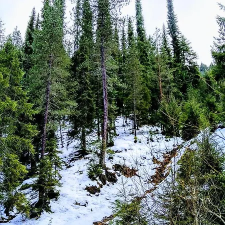 Konaci Gradina באינה באשטה