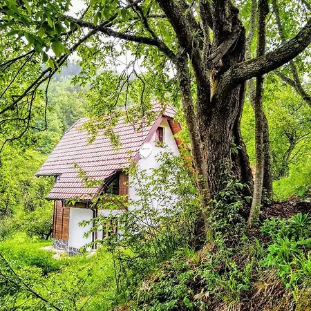 Апартаменты Konaci Gradina