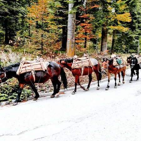 Konaci Gradina * באינה באשטה